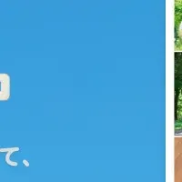 思い出、つながるキャンペーン