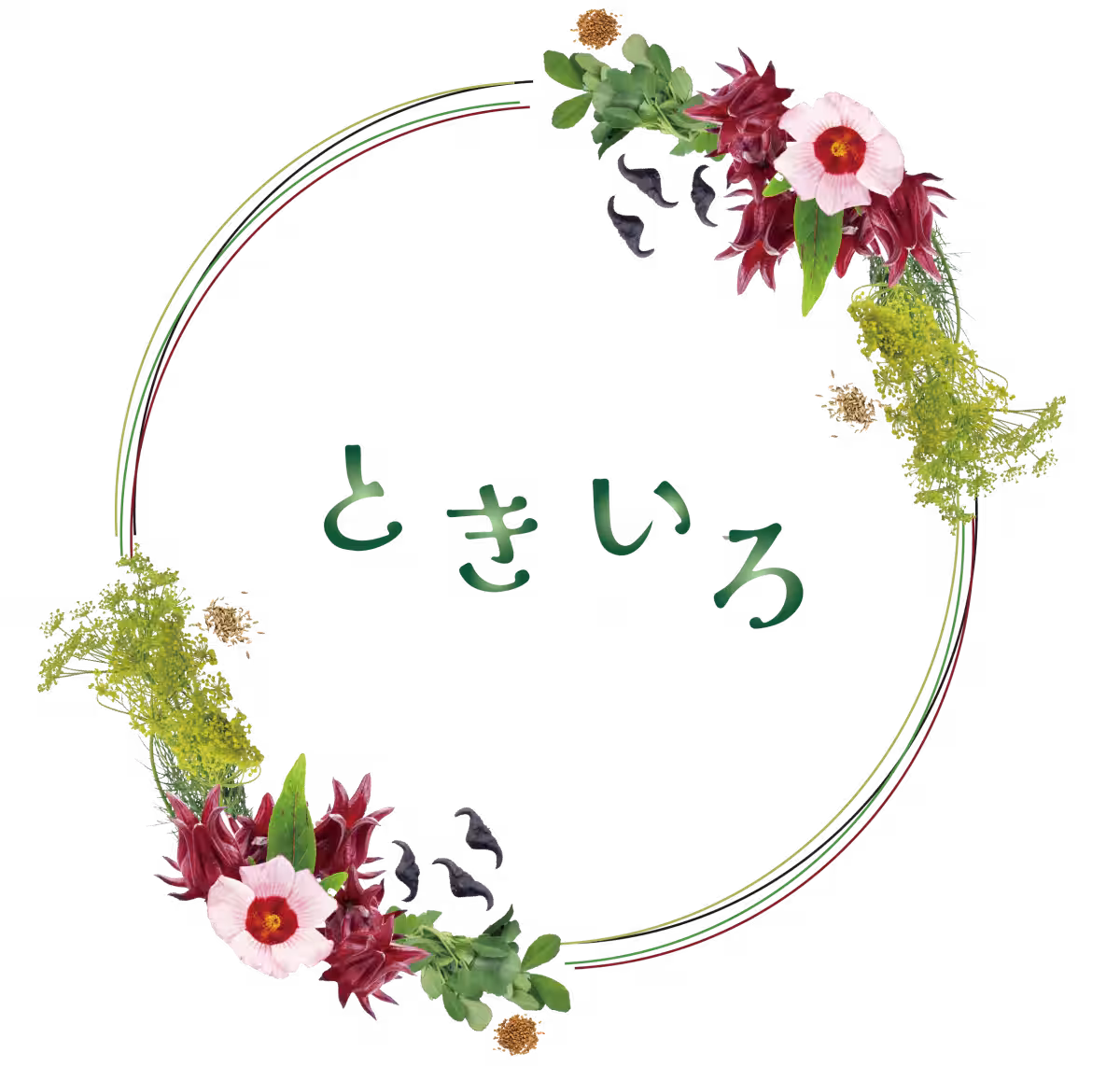 画像4