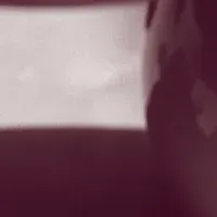 山田詠美のレシピ本