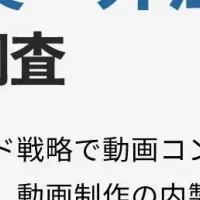 動画制作調査結果