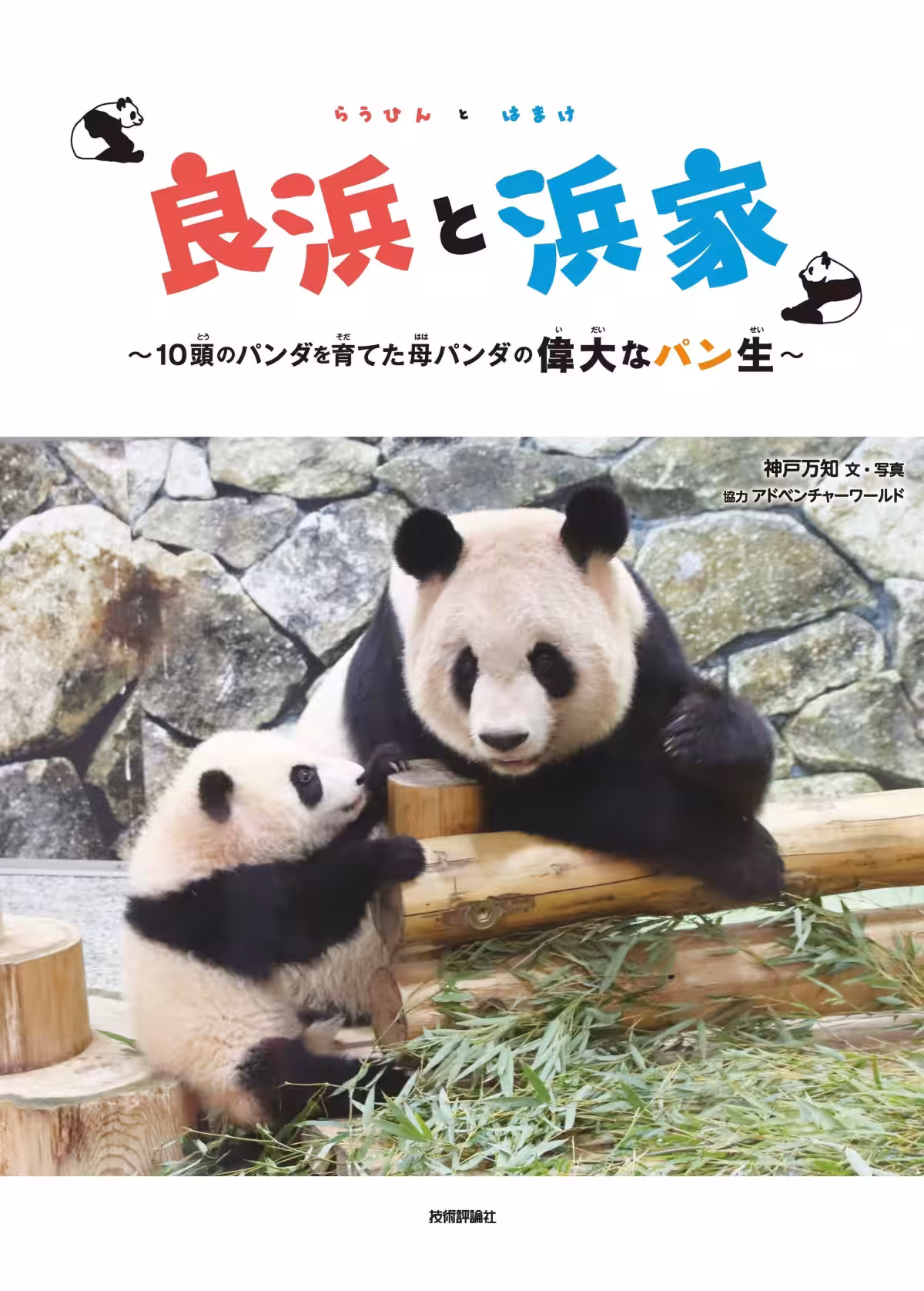 画像7