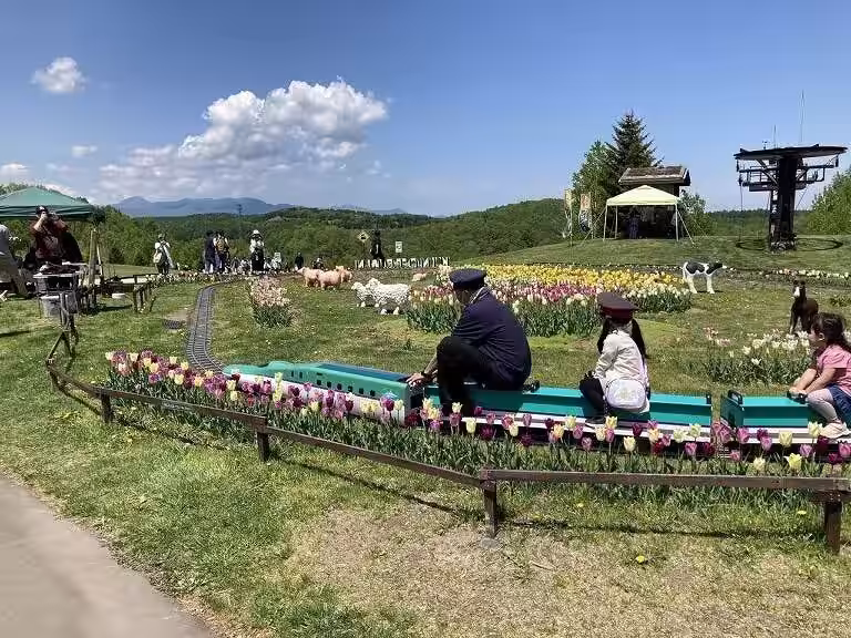 画像12