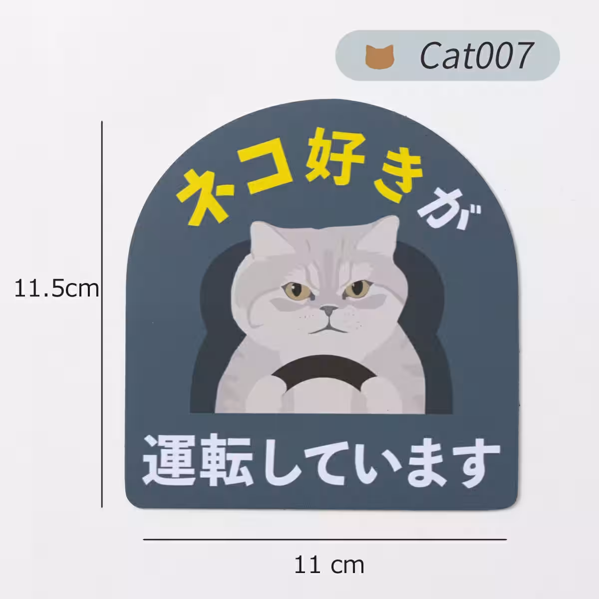 画像7