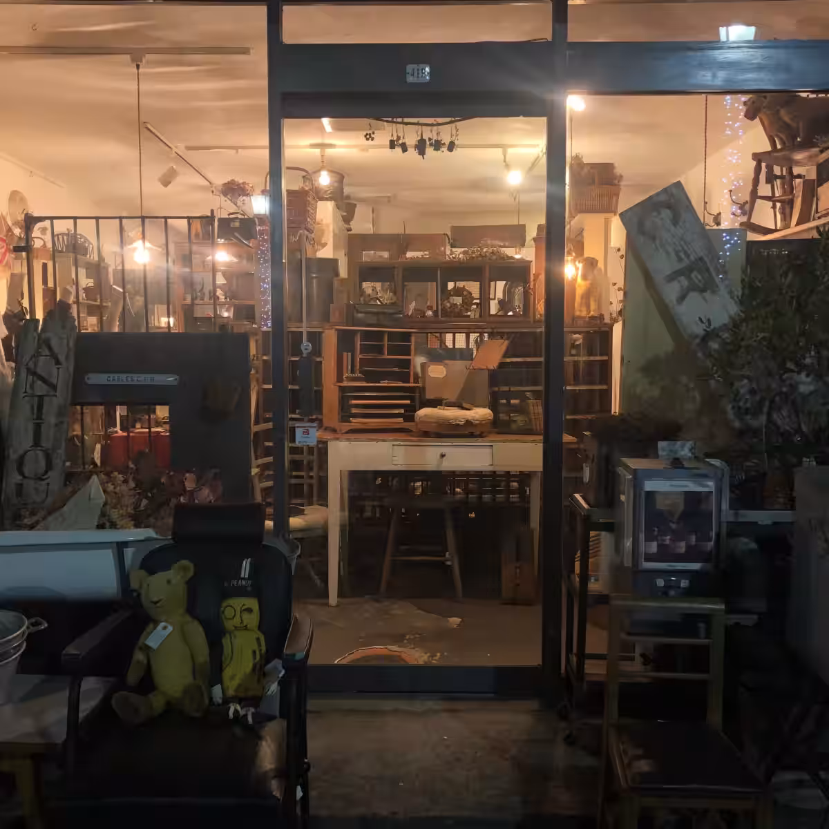 画像15