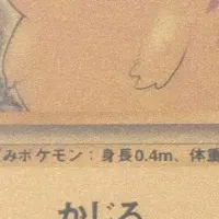 新トレカオークション