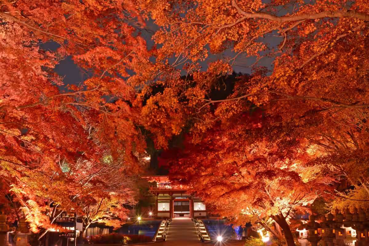 画像9