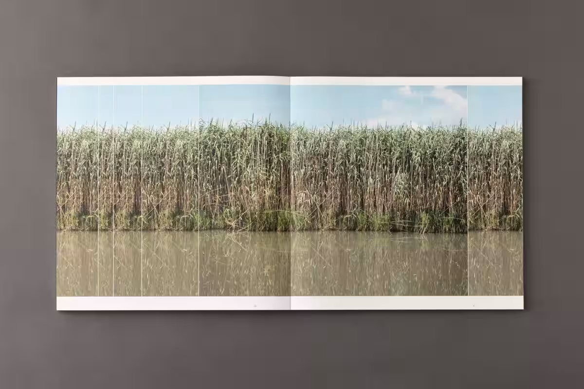 画像20