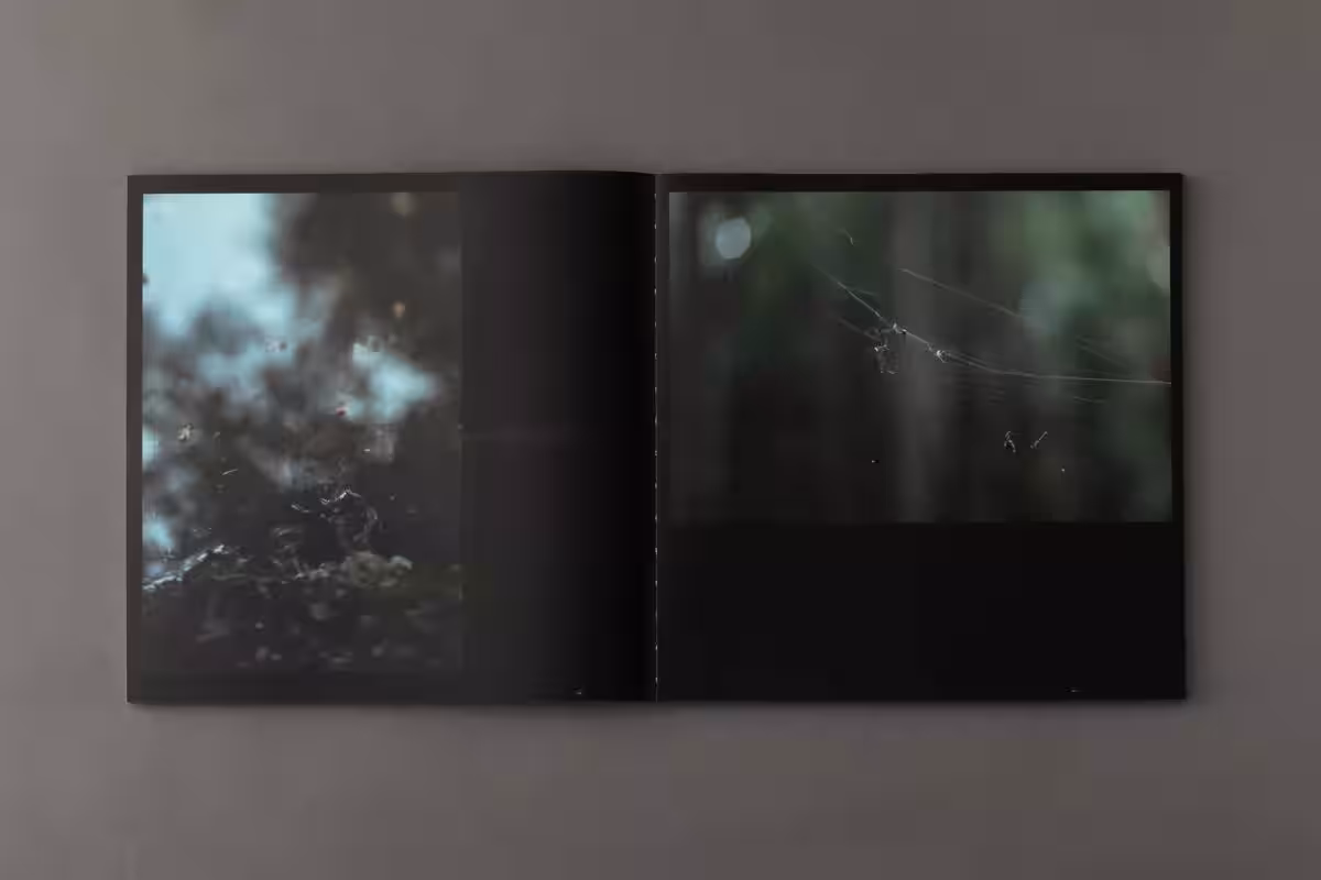 画像21