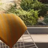 注目の新コレクション