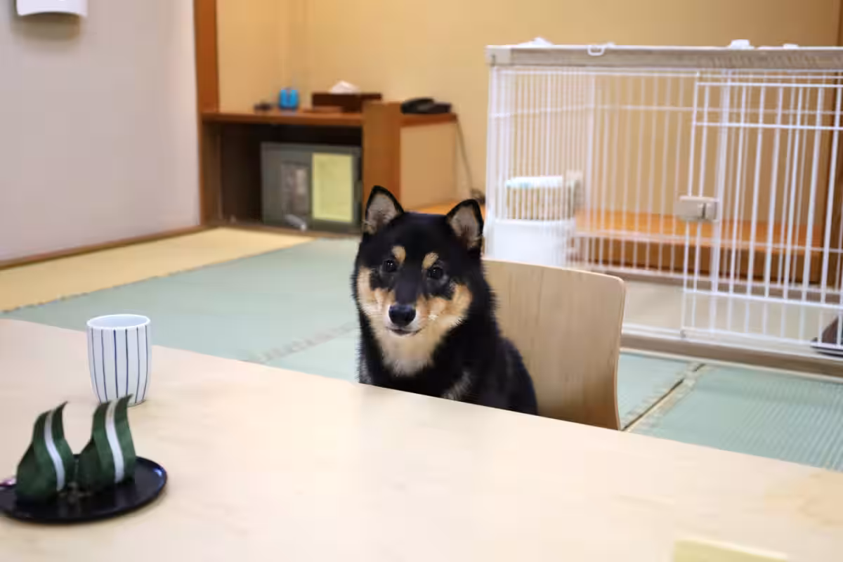 画像6