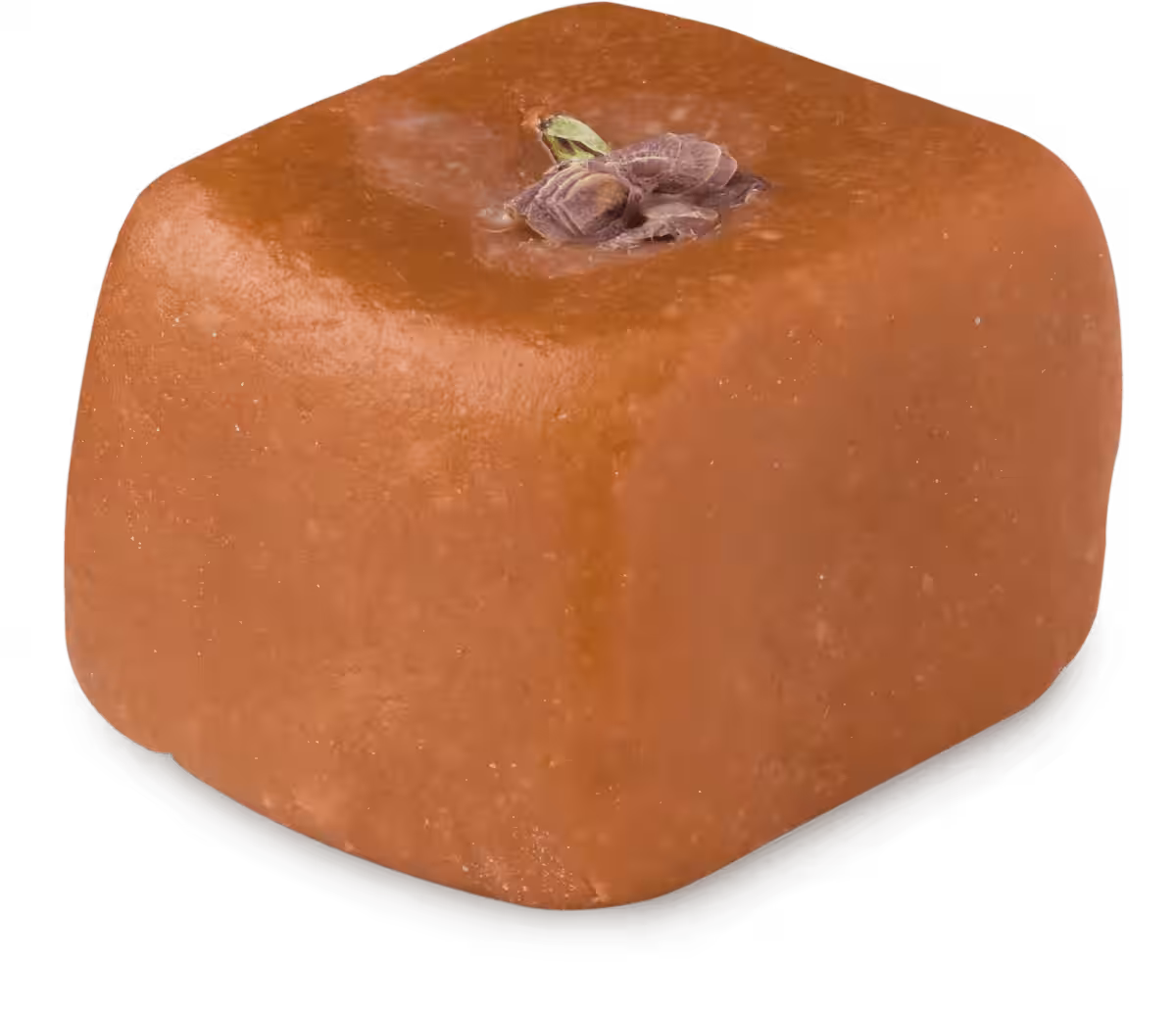 画像14