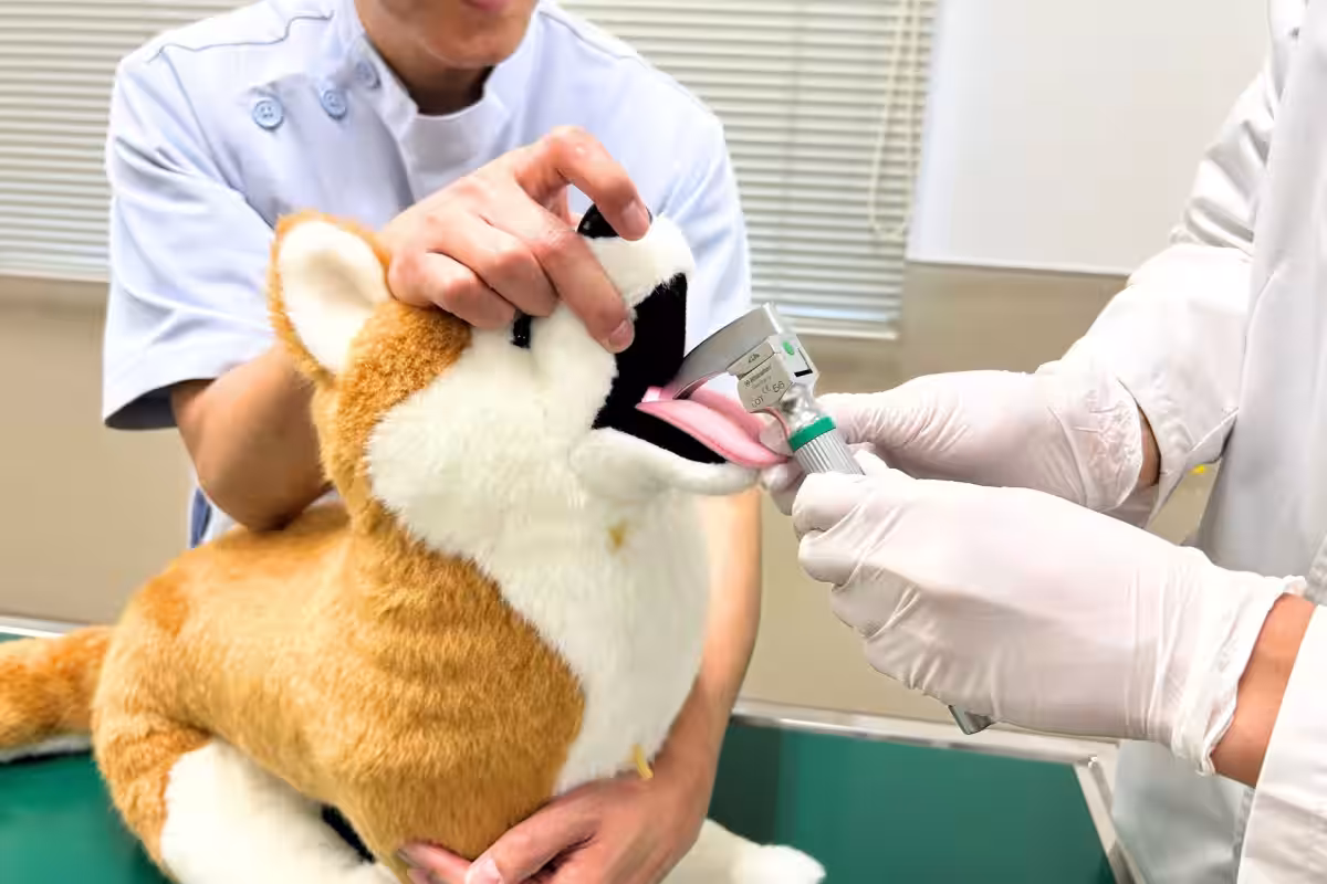 画像4