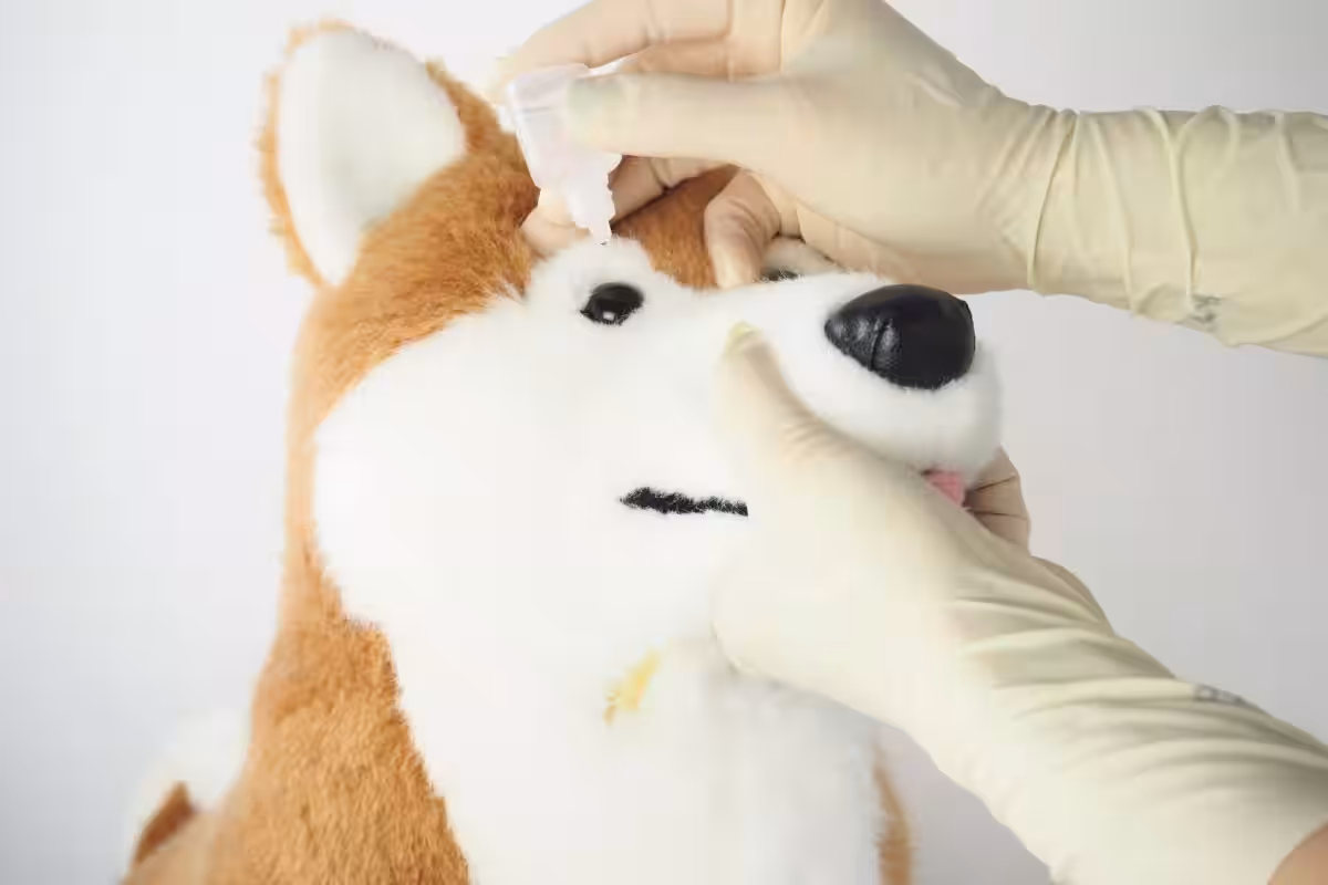 画像9