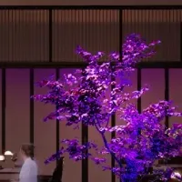 新プレミアムラウンジ