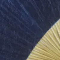 千葉の文化を堪能する