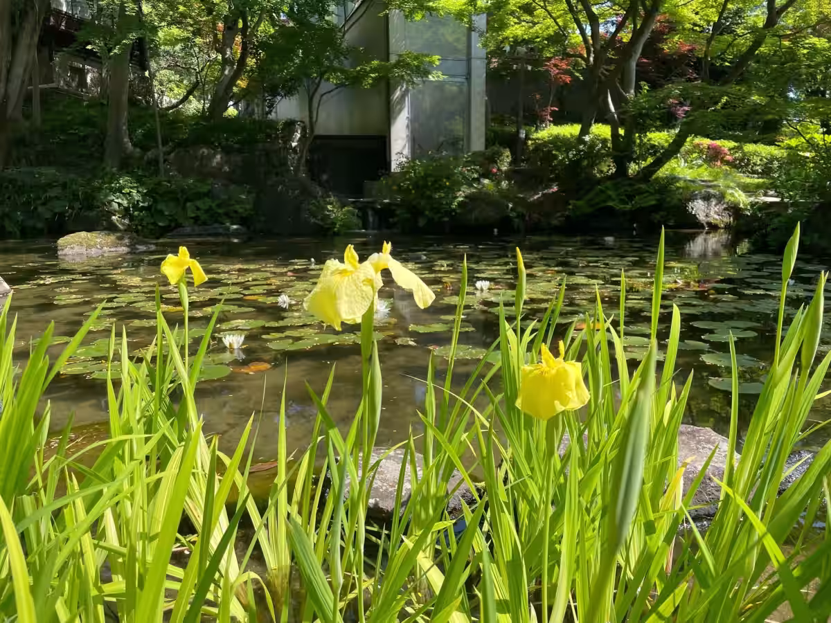 画像2