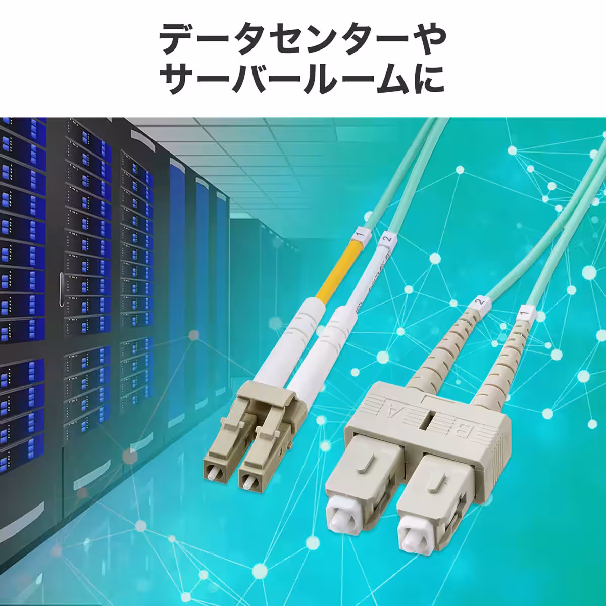 画像7