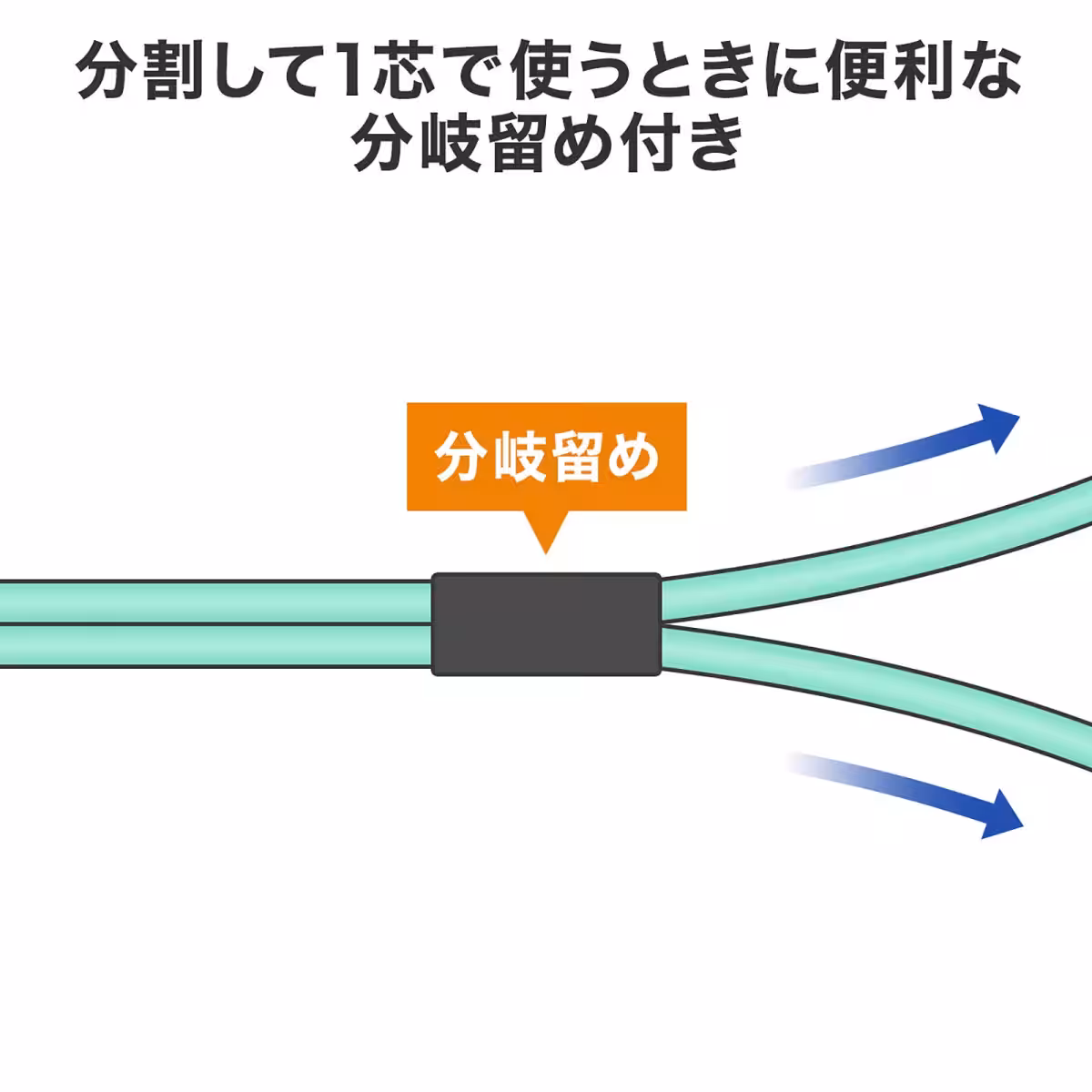 画像11