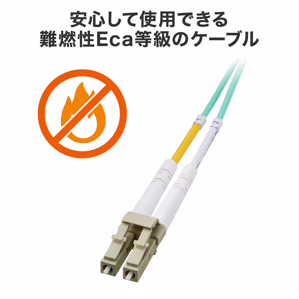 画像14