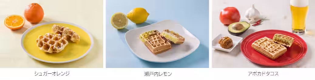 画像4