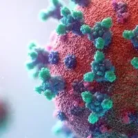 白血病ウイルスの研究