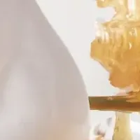 新感覚はちみつ
