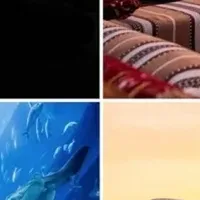 ドバイの自閉症観光地