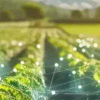 農業DXとAIの融合