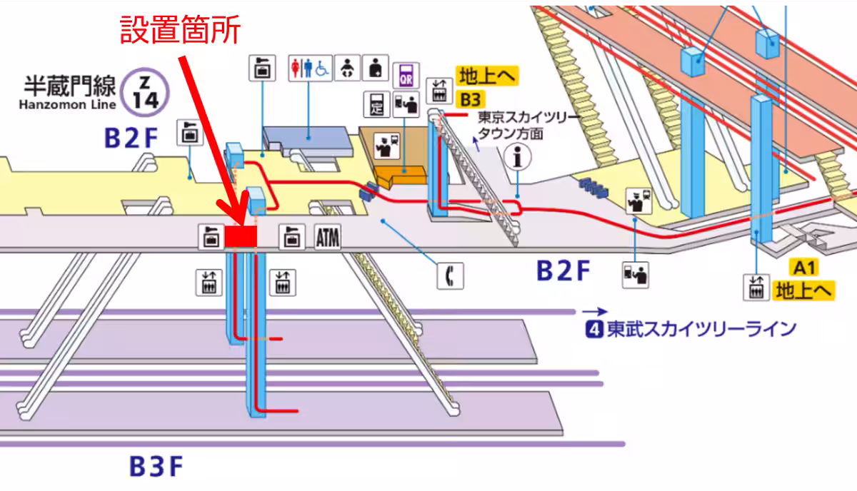 画像6