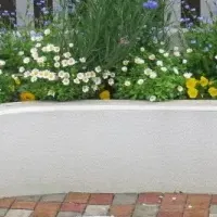 春の花壇コンクール