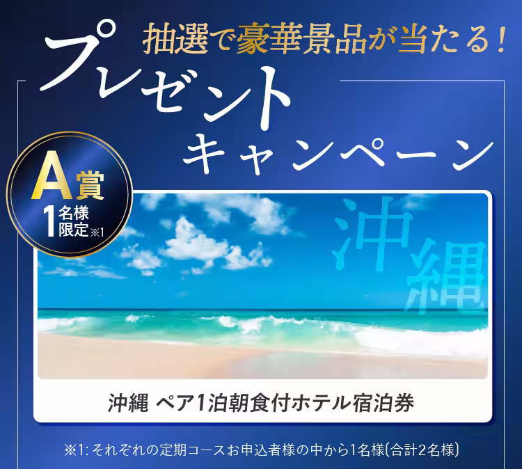 画像14