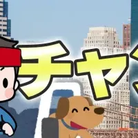 「良縁チャンネル」の挑戦