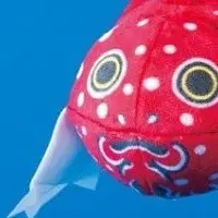 金魚ねぷたポーチ新登場