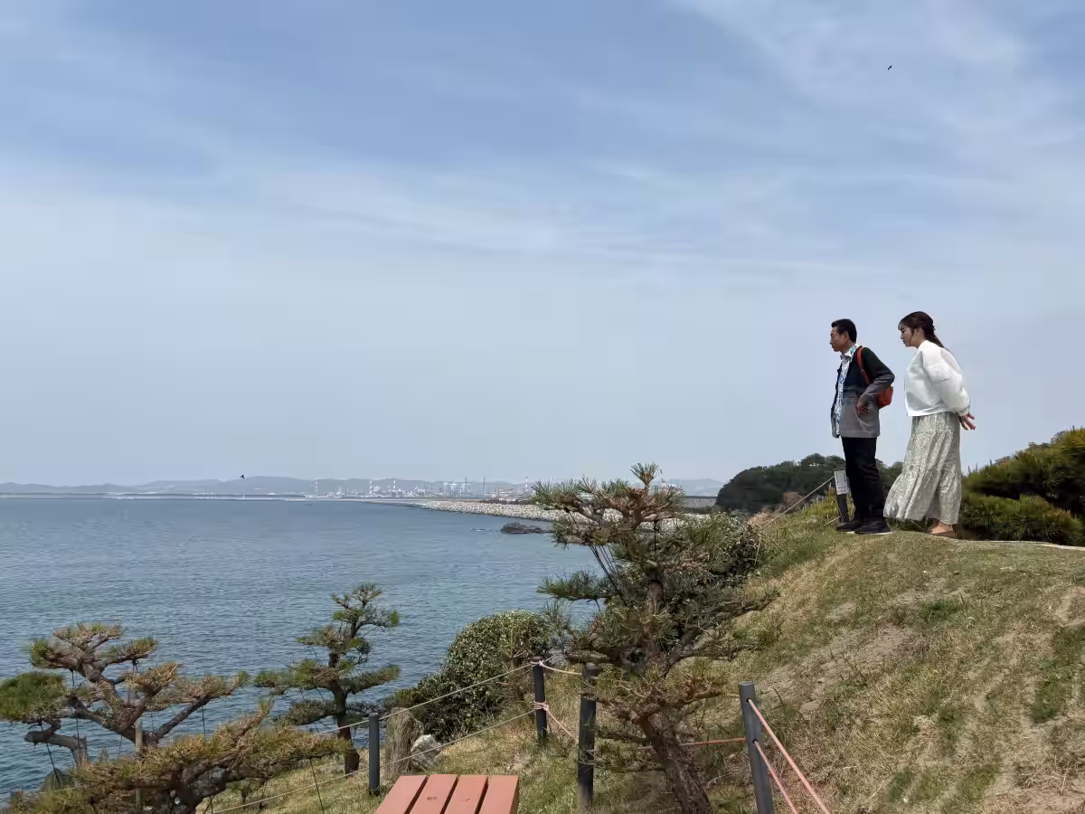 画像12