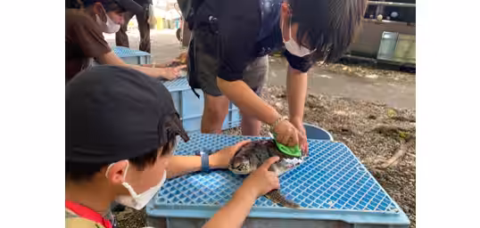 画像3