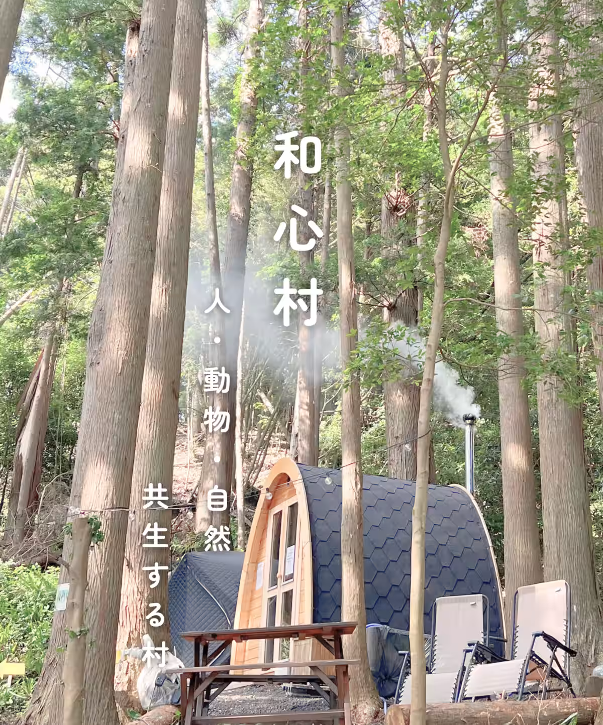 画像14