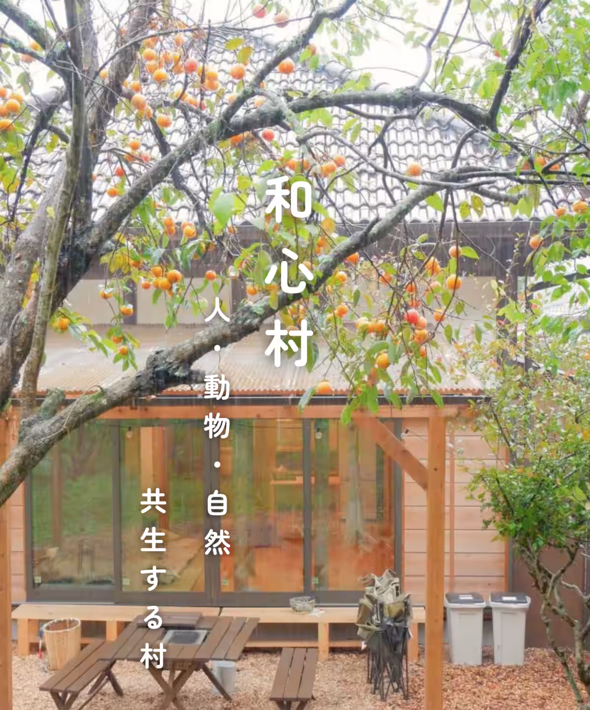 画像15