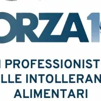 新生FORZA10、登場！