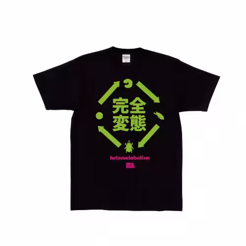 画像9