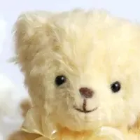 特別なcocoベア