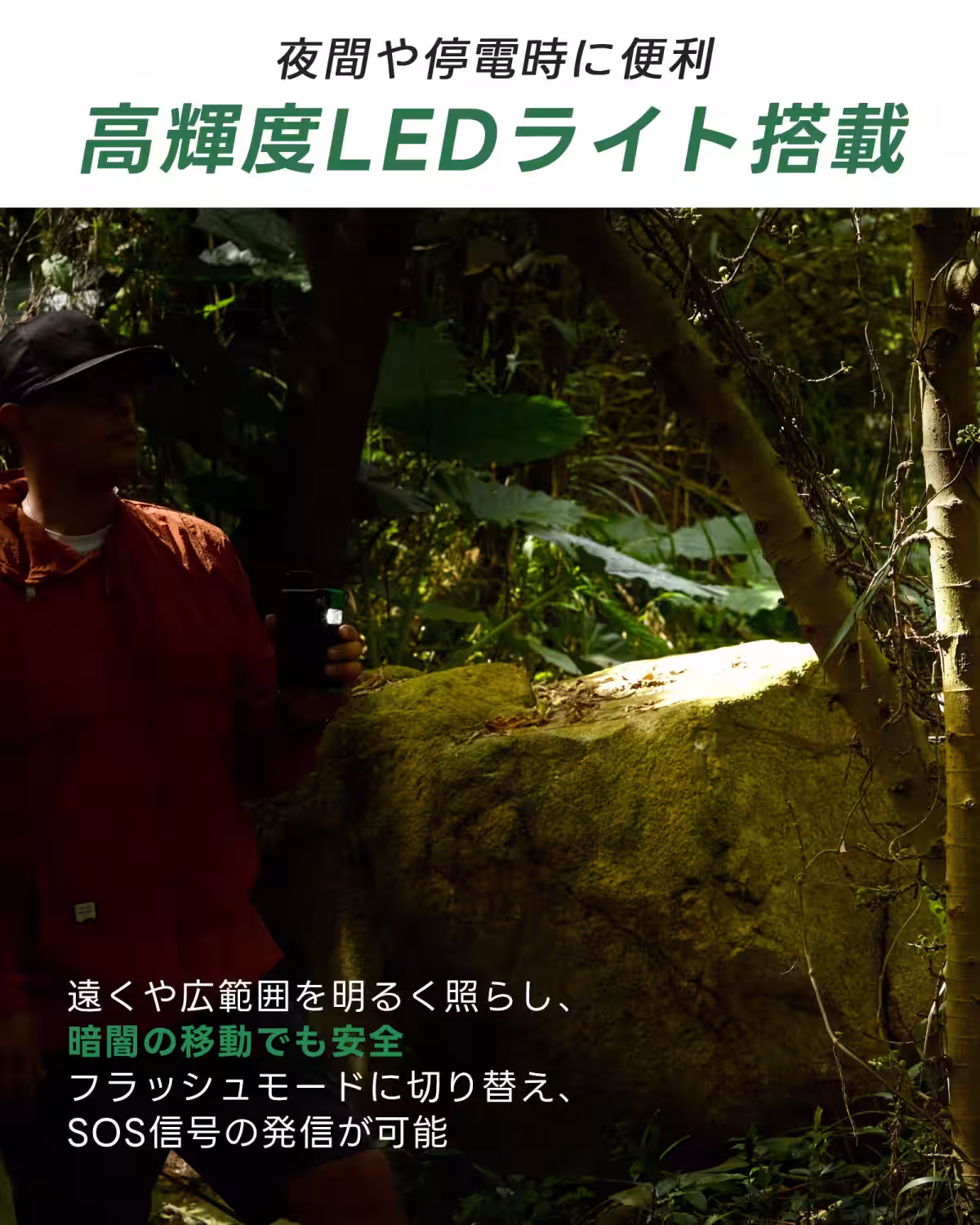 画像19