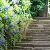 イタリア語オンラインセミナー