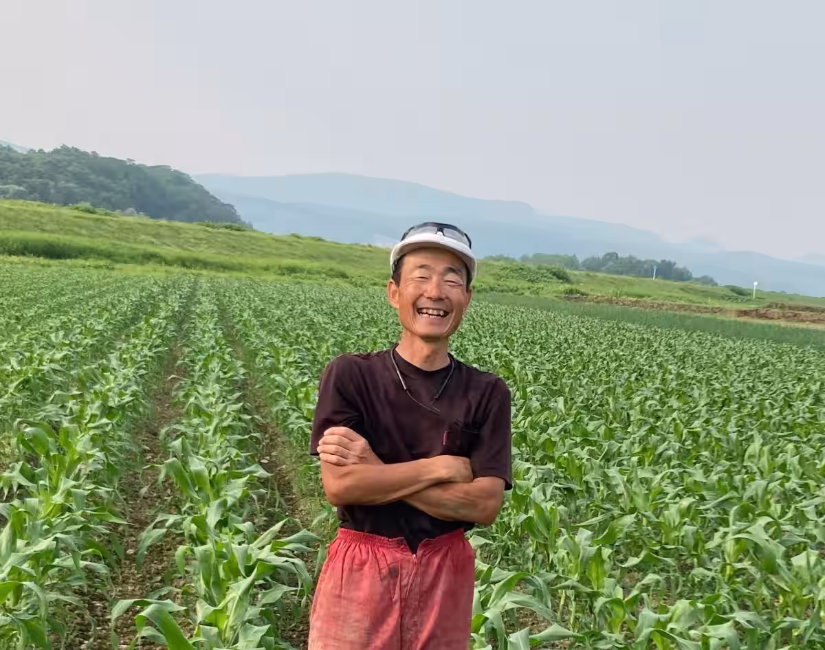 画像4