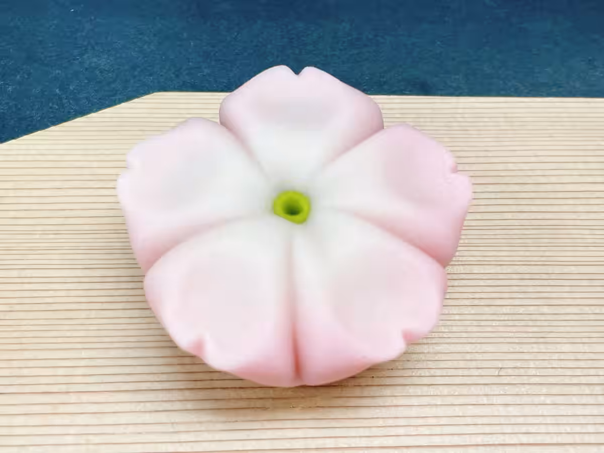 画像5