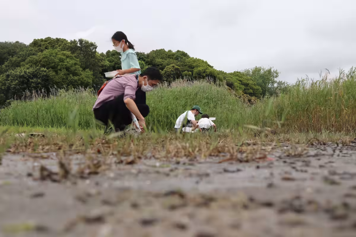 画像14