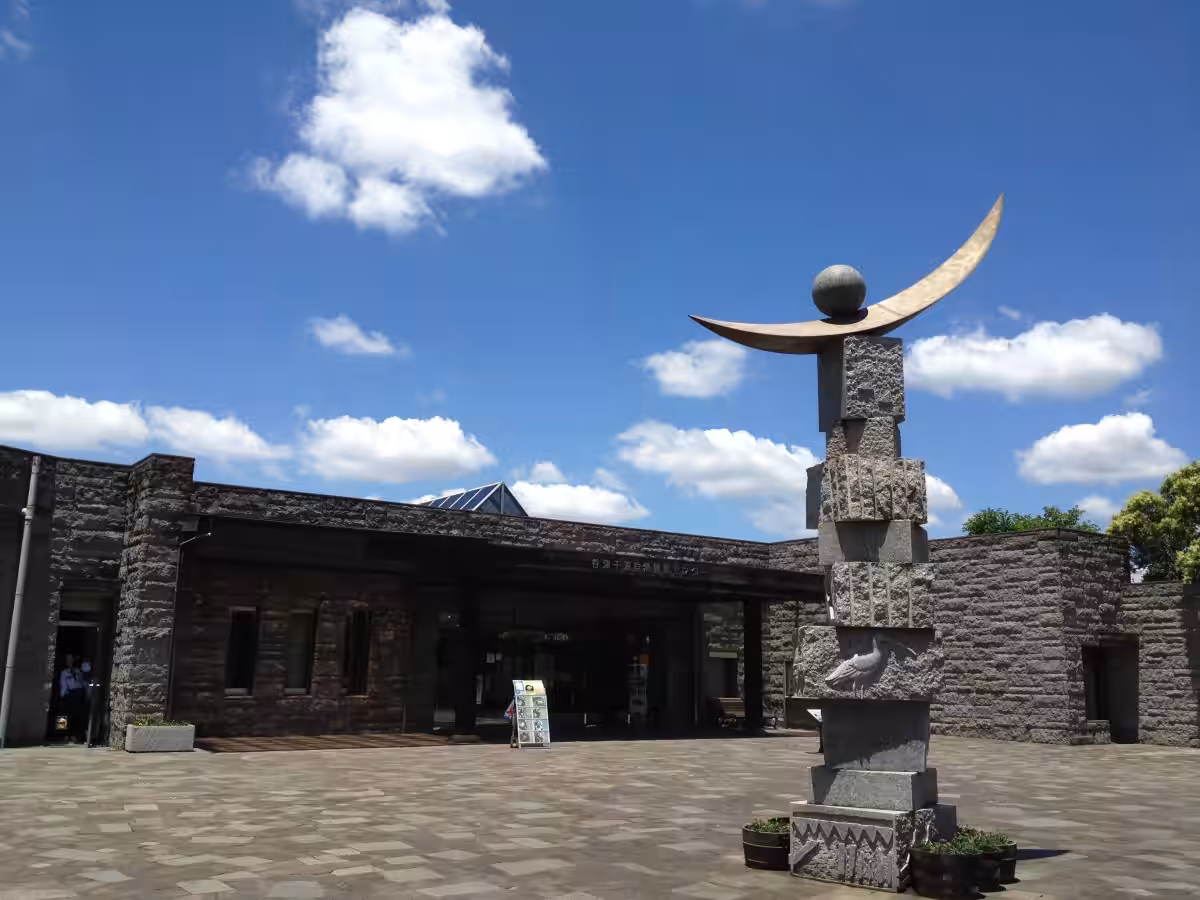 画像9