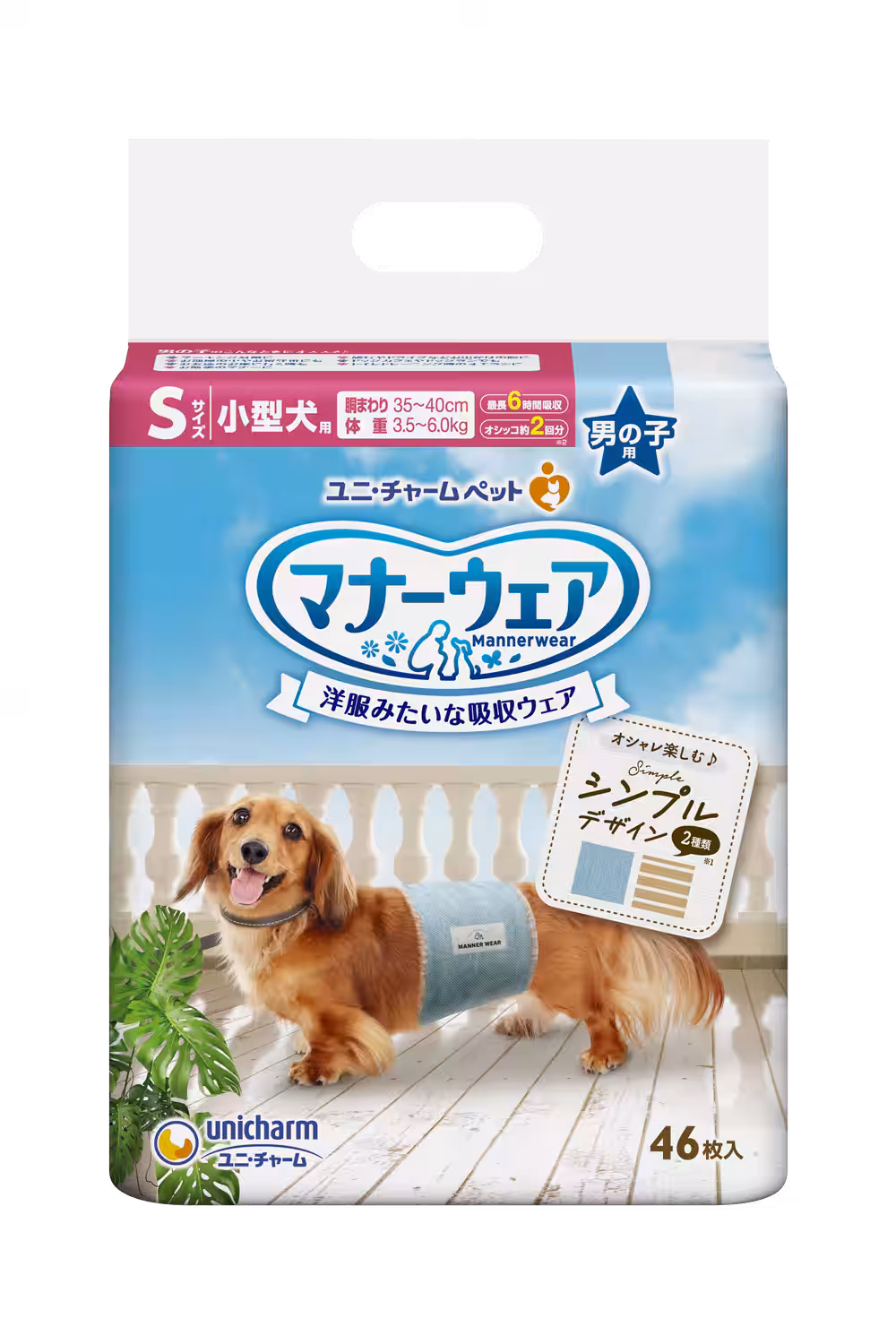 画像9