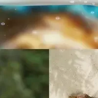水中撮影可能なケース
