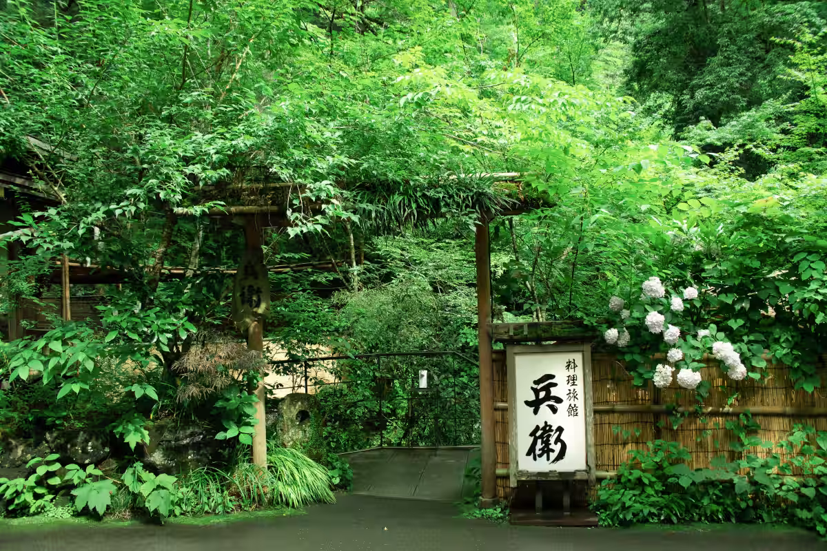 画像7