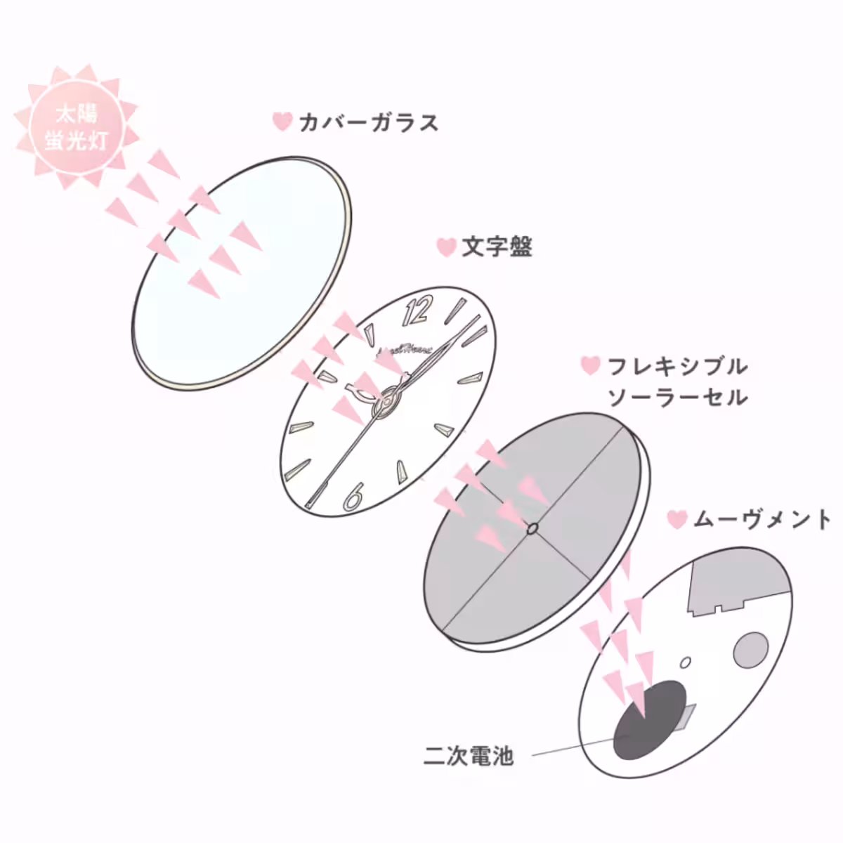 画像10